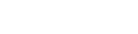 Ever AI